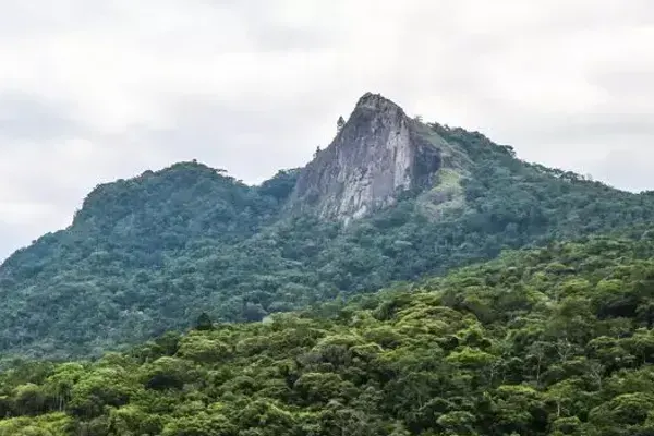 Trilha da Pedra Branca em Palhoça